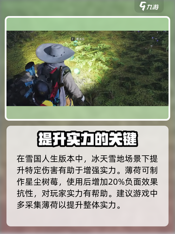 七日世界雪国人生薄荷在哪介绍截图4