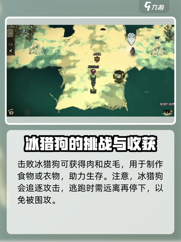 饥荒新家园：冰猎狗🔥超详细介绍来啦！截图3