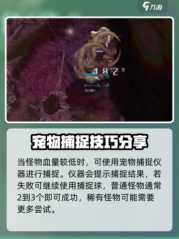 仙境传说RO新启航：宠物捕捉秘籍🔥快速上手！截图3