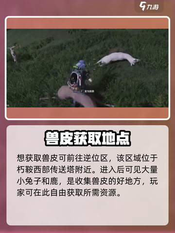 七日世界兽皮怎么获得介绍截图2