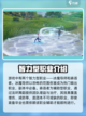 星痕共鸣智力系职业有哪些介绍截图3