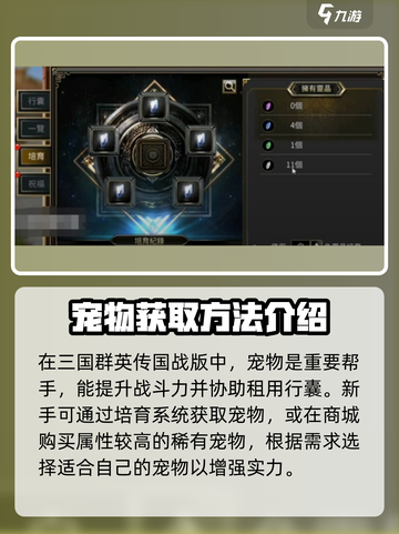 三国群英传国战版宠物祝福大揭秘💥宠物战力飙升🔥截图3