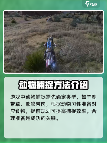 七日世界捕捉动物技巧大曝光！抓住它们⚡截图2