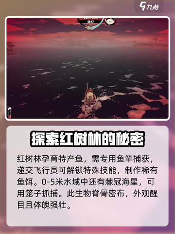 渔帆暗涌红树林有哪些资源介绍截图3