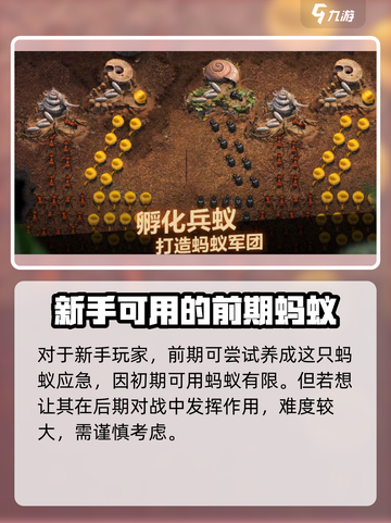 小小蚁国绮丽蚁好用吗介绍截图3