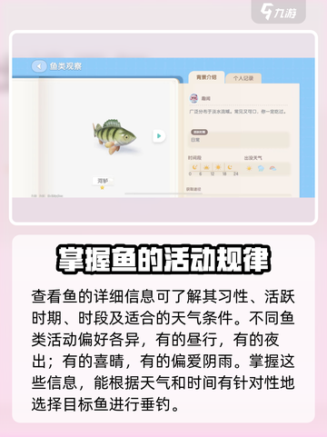 心动小镇🔥鱼类观察图鉴全解析！🐟快来看看在哪看！截图4