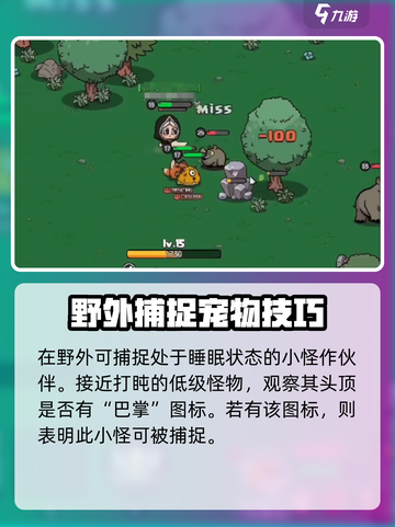 英勇之地怎么抓宠物的介绍截图2