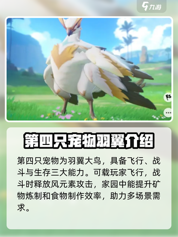 酷比大陆sr宠物有哪些介绍截图5