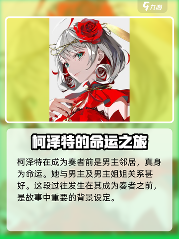 宿命回响柯泽特是谁介绍截图2