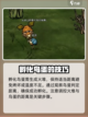 饥荒联机版😎高脚鸟蛋孵化方法大揭秘🎉截图3