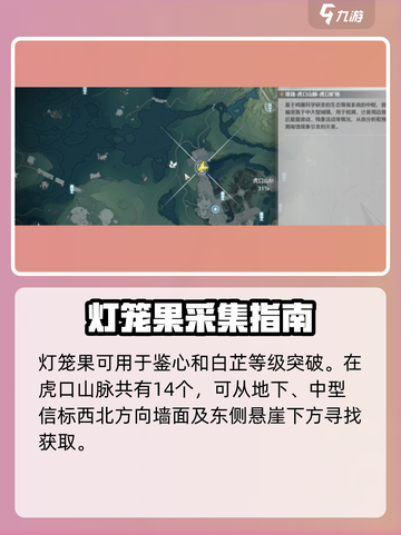 【鸣潮】灯笼果全位置揭秘🔥截图2