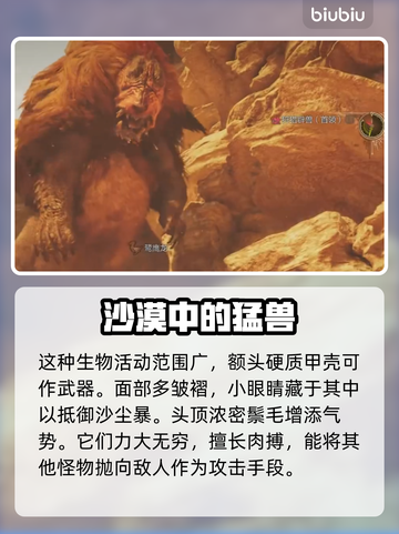 怪物猎人荒野辟兽打法🔥超详细攻略来啦！截图2