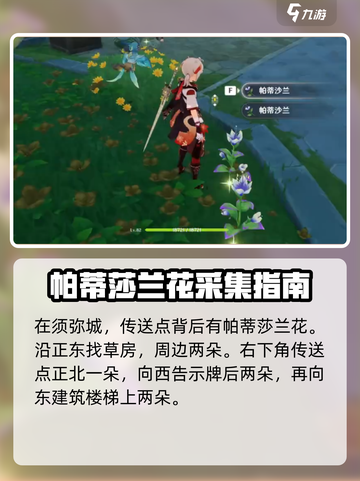 原神🔥帕蒂莎兰采集位置全解密！💎截图3