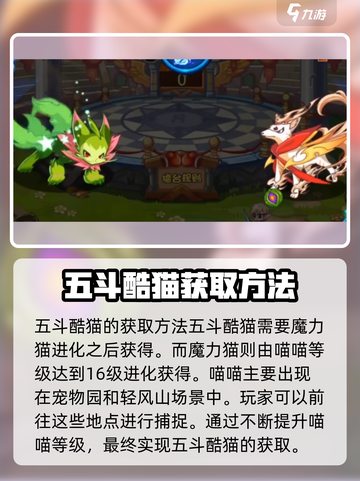 洛克王国手游：五斗酷猫🔥超强攻略猫咪爱好者必看！截图2