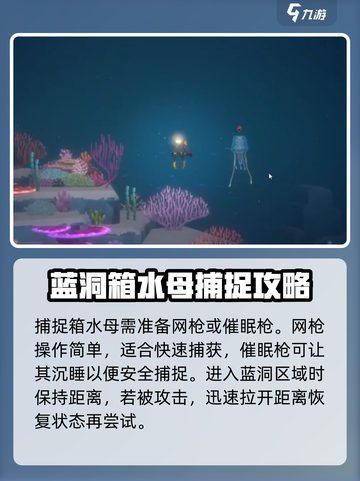 潜水员戴夫水母抓取秘籍💡手游玩家必看！截图3