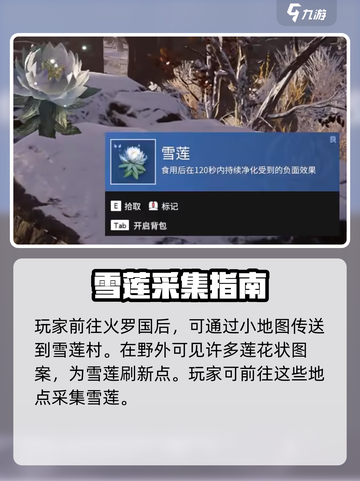 永劫无间手游雪莲位置大揭秘❄截图4