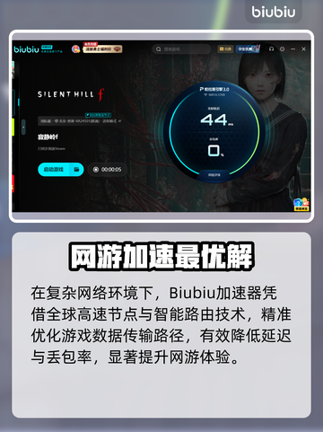 🎮寂静岭F延迟丢包？速看解决方法！截图3