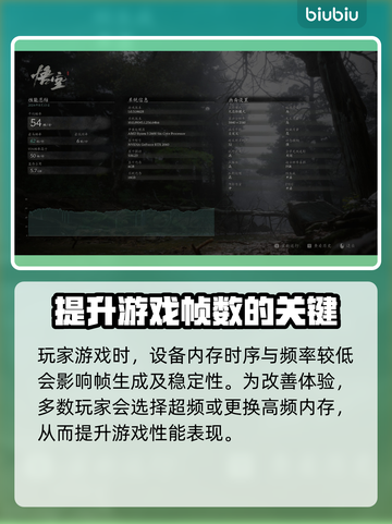 帧率高还卡？延迟解决秘籍来了！🎮🔥截图4