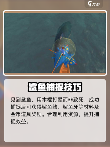 创造吧我们的星球🎉鲨鱼获取攻略&出现期数大揭秘！截图4