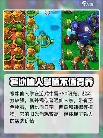 植物大战僵尸：寒冰仙人掌🔥超好用！冻住僵尸不是梦✨截图2