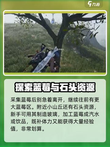 七日世界蓝莓采集点介绍介绍截图3