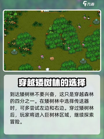 皮卡堂森林怎么走介绍截图3
