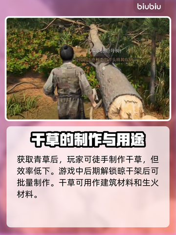 战国王朝⚡干草获取攻略！快速收集方法💡截图3