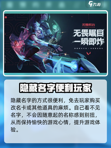无畏契约隐藏名字方法介绍介绍截图3