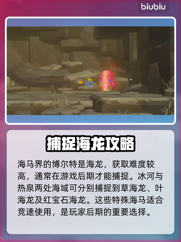 潜水员戴夫海马竞速🔥挑选海马全攻略✨截图2