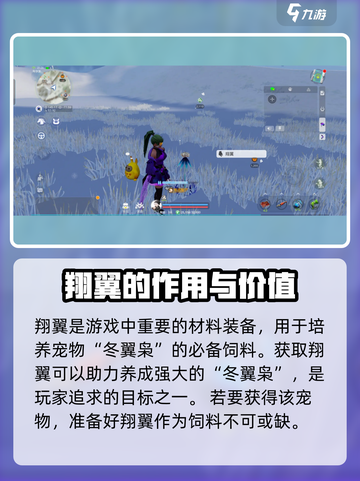 创造吧我们的星球🔥翔翼物品全解析！💡游戏党必看截图2