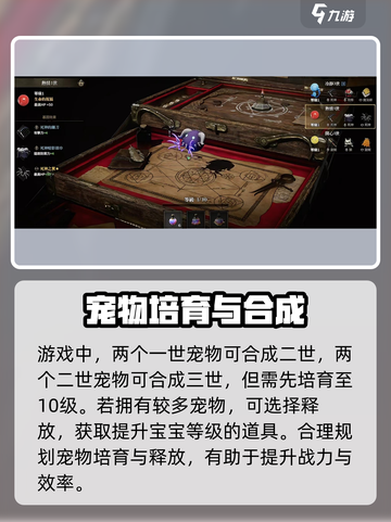 权力之望宠物玩法🔥超全攻略等你来探索！🎮截图4