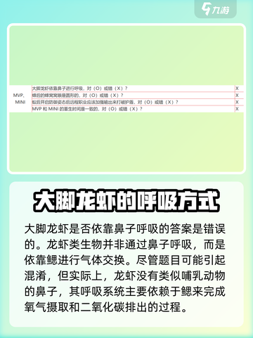 仙境传说新启航答题题目大全介绍截图3