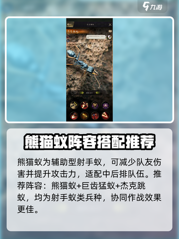 小小蚁国熊猫蚁怎么样介绍截图3