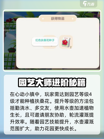 心动小镇扶桑花种植攻略！🌺截图2