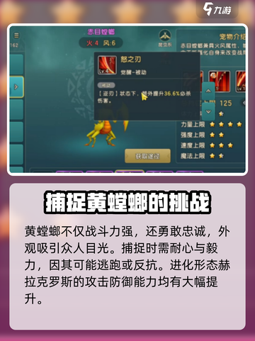 魔力宝贝复兴黄螳螂攻略一览介绍截图4