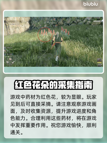浪人崛起🔥药材任务完成攻略来了！截图6