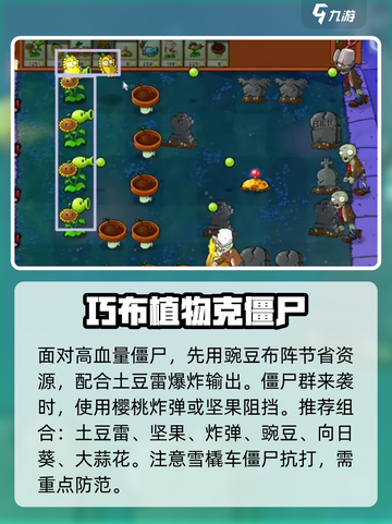 🔥植物大战僵尸杂交版新手必看！💥截图4