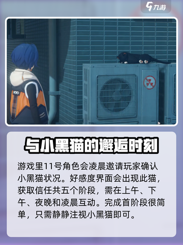 绝区零领养小猫攻略介绍截图2