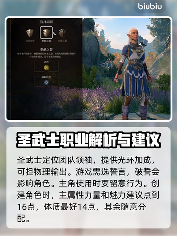 博德之门3🔥圣武士职业超强介绍来啦！✨截图2