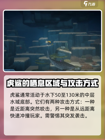 潜水员戴夫虎鲨在哪介绍截图2