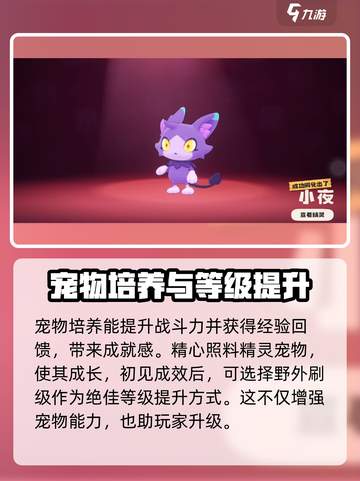 洛克王国世界12级怎么升级介绍截图5