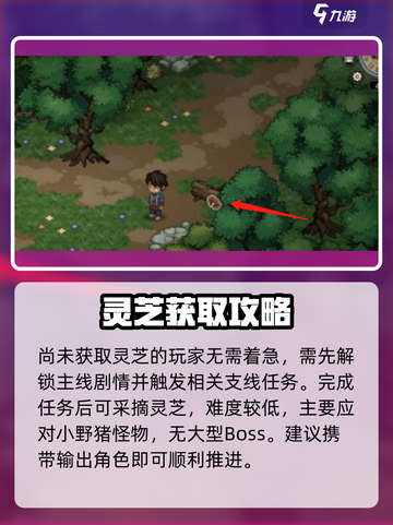 《大侠立志传》🔥灵芝位置全揭秘！📌截图4