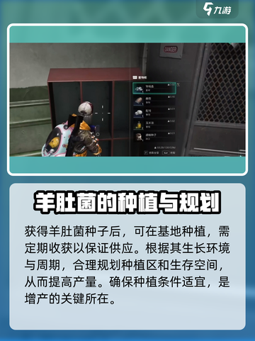 七日世界羊肚菌有什么用介绍截图4