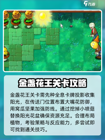 植物大战僵尸杂交版金盏花王关卡怎么过介绍截图4