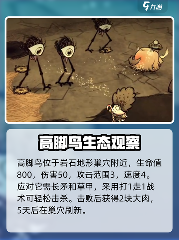 饥荒联机版高脚鸟是什么介绍截图2