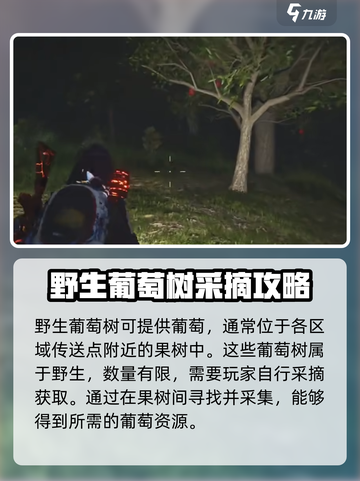 七日世界葡萄如何获取介绍截图3