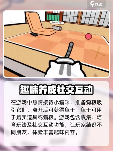 猫咪后院2夏季上线时间一览介绍截图4