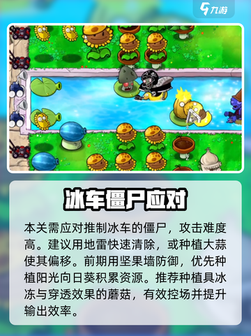 🔥植物大战僵尸12关神操作💥截图4