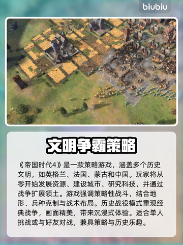 🎮帝国时代4黑屏救星！加速器推荐大公开💥截图2