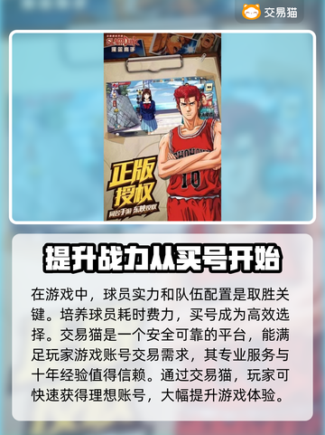 灌篮高手手游：🔥买号平台大揭秘！⚡截图2
